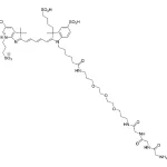 Cct 1578 Structure