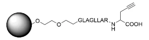 CCT 1582 Structure