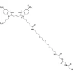Cct 1584 Structure