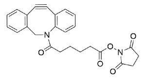 CCT A102 Structure