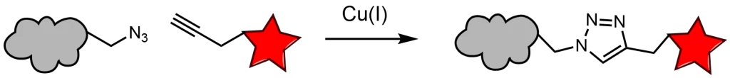 Click Reaction