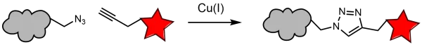 Click Reaction