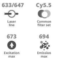 Cy5 5 Laser