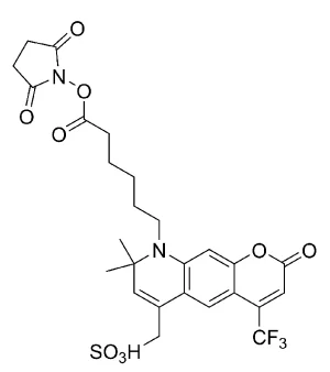 FP 1031 structure