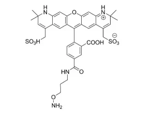 FP 1092 structure