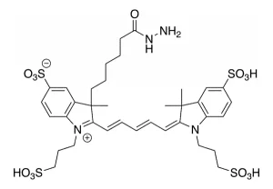 fp 1128 structure 600x415