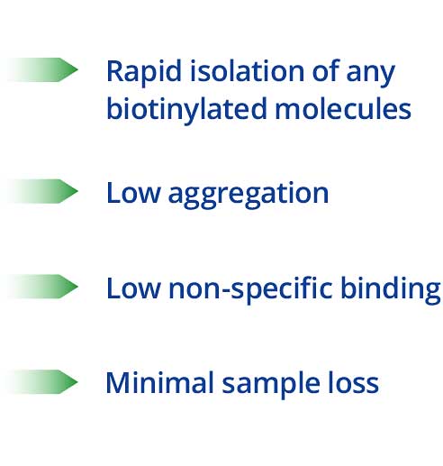 Str M Beads Points