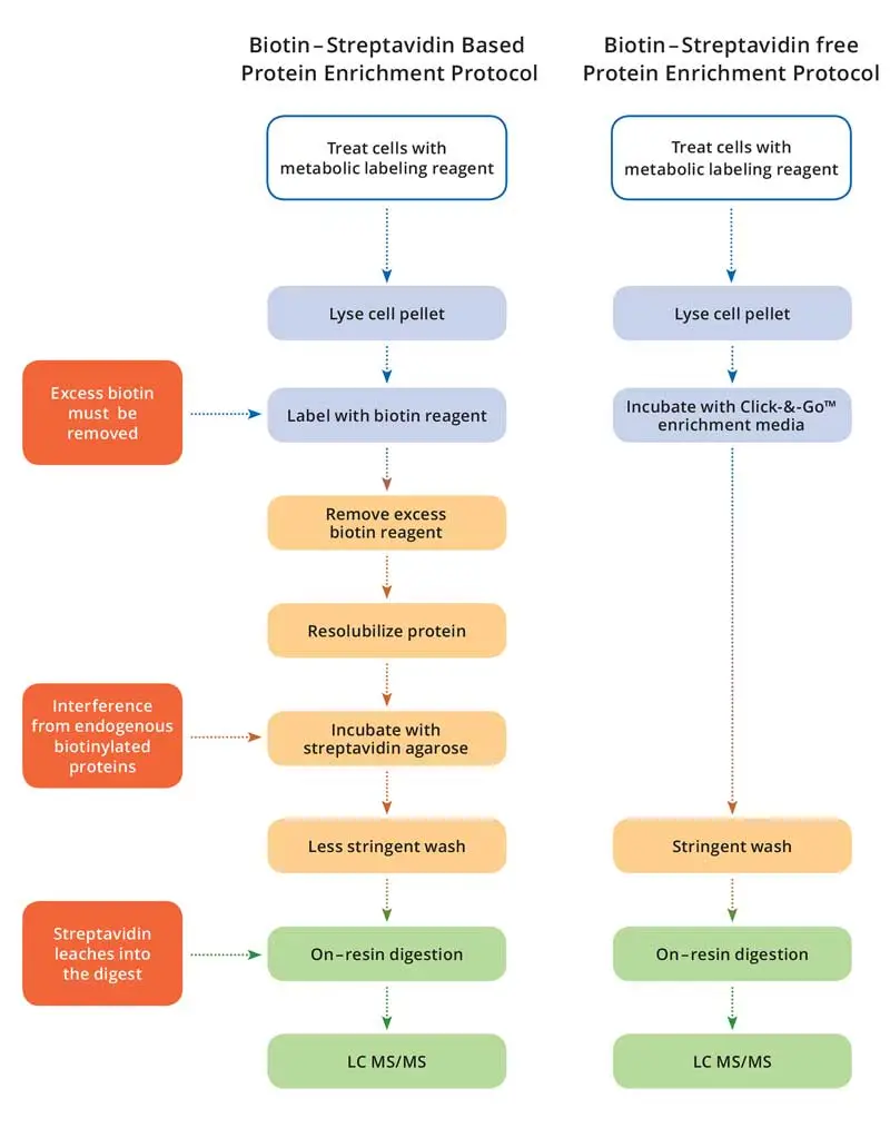 Workflow Non Cleavable 1