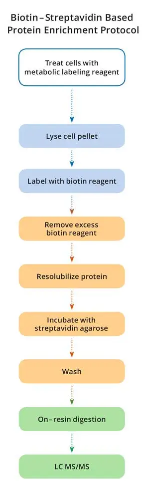 Workflow Non Cleavable 1Column