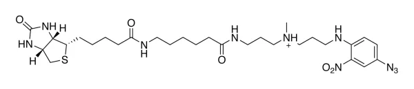 Sp 1020 Structure