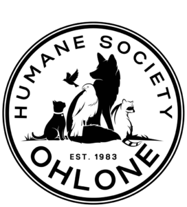 Ohs Circle Logo Header 01 934X1030 1 272X300 1