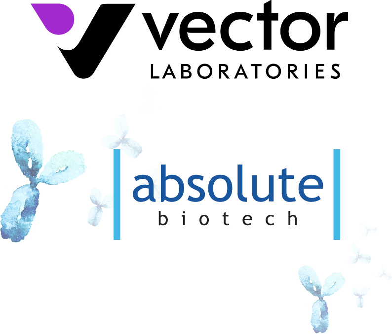 Vector Absolute Logos