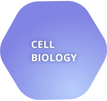 Cell Biology