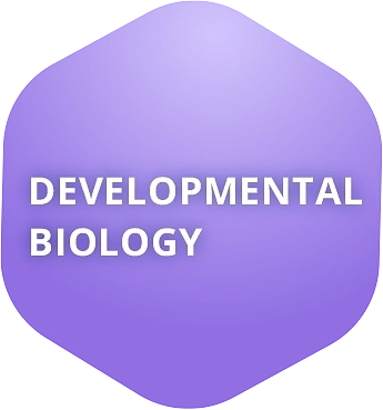Developmental Biology