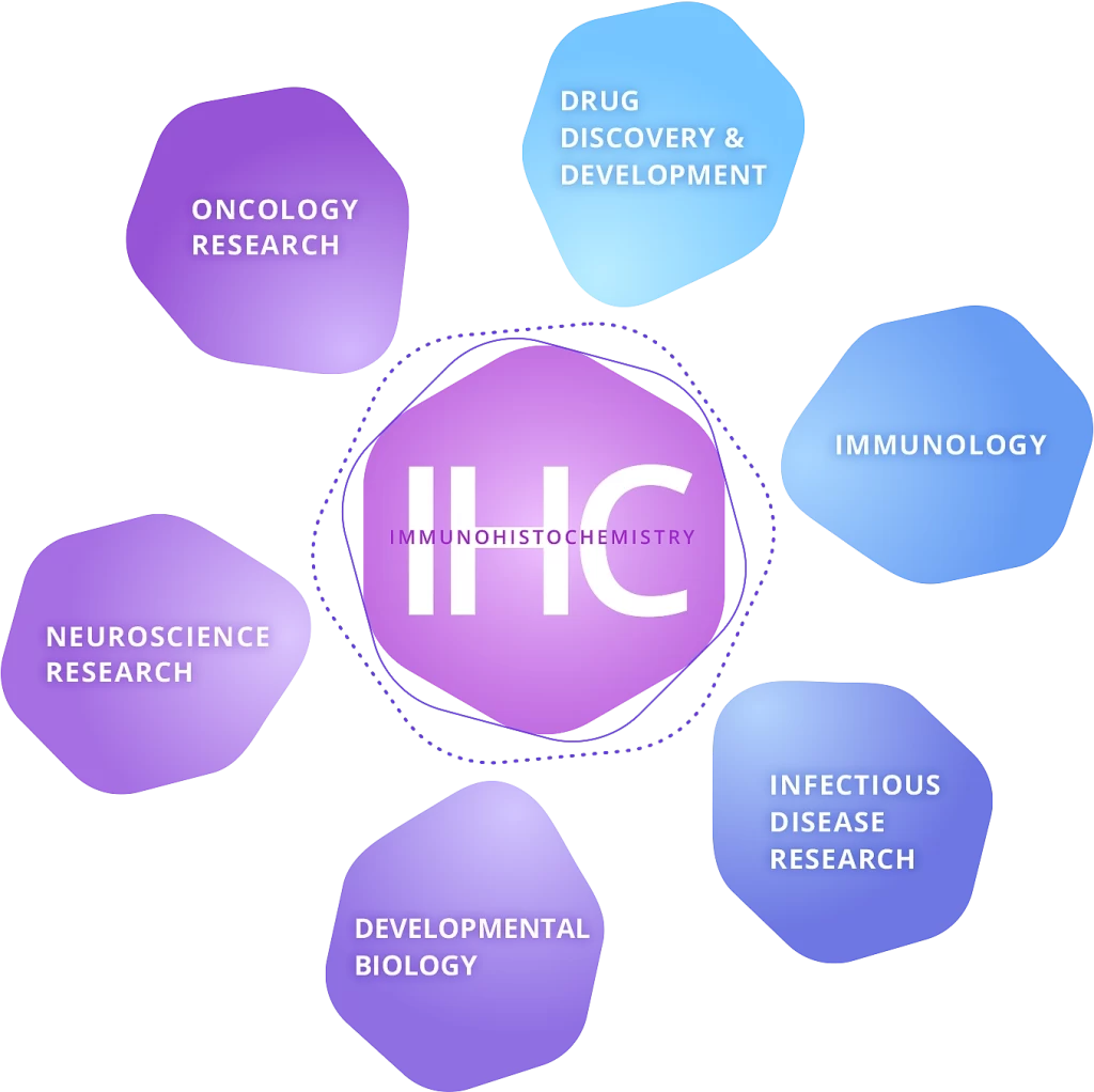 Ihc Areas Scheme