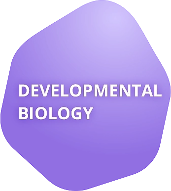 Developmental Biology