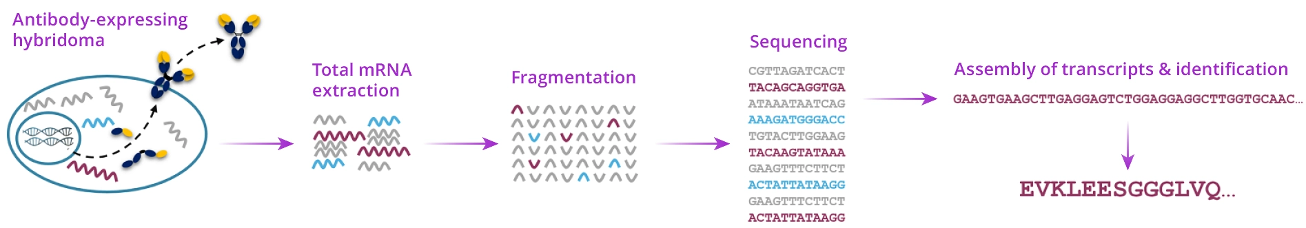 Rna Sequencing Service Graph