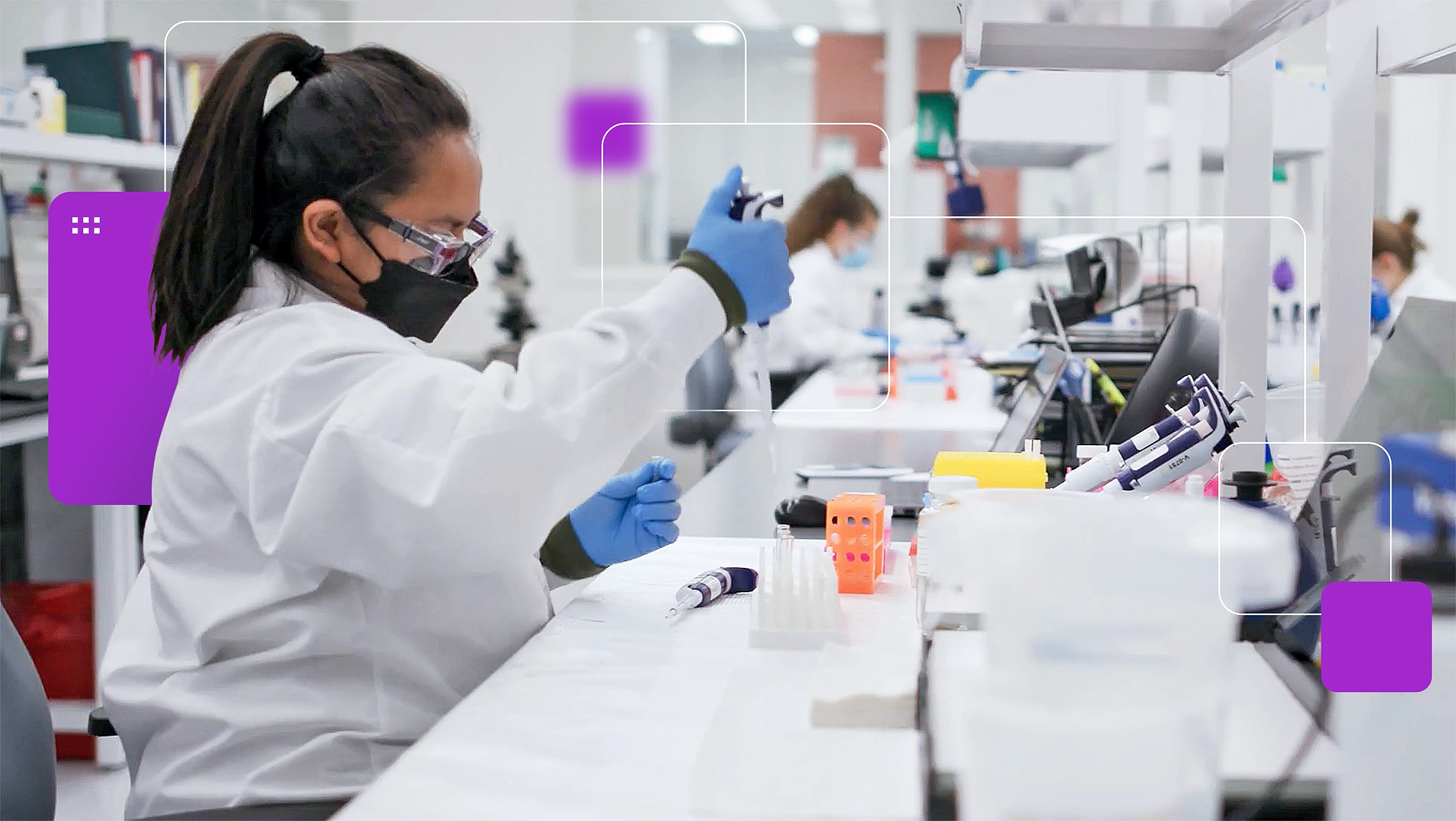 Vl Custom Antibody Services