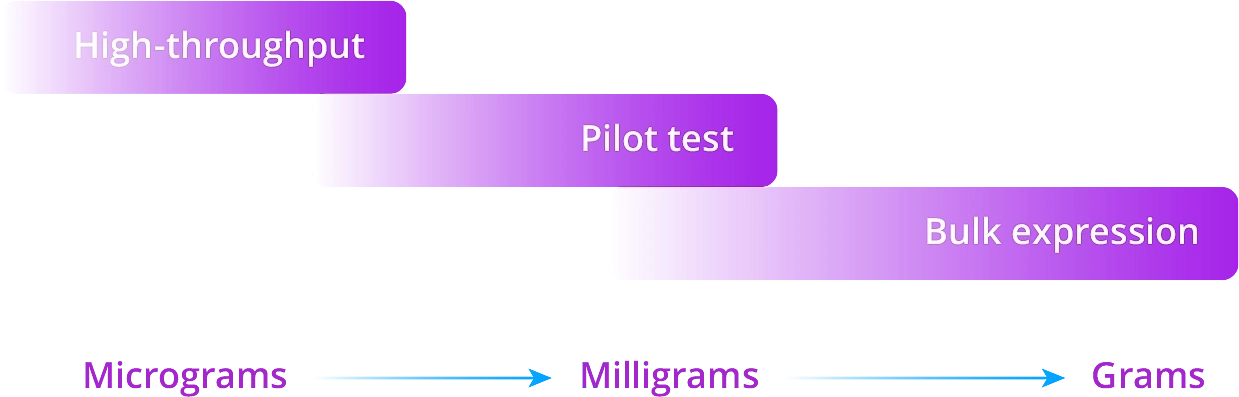 Antibody Expression Graph