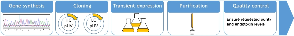 Antibody Production Graph